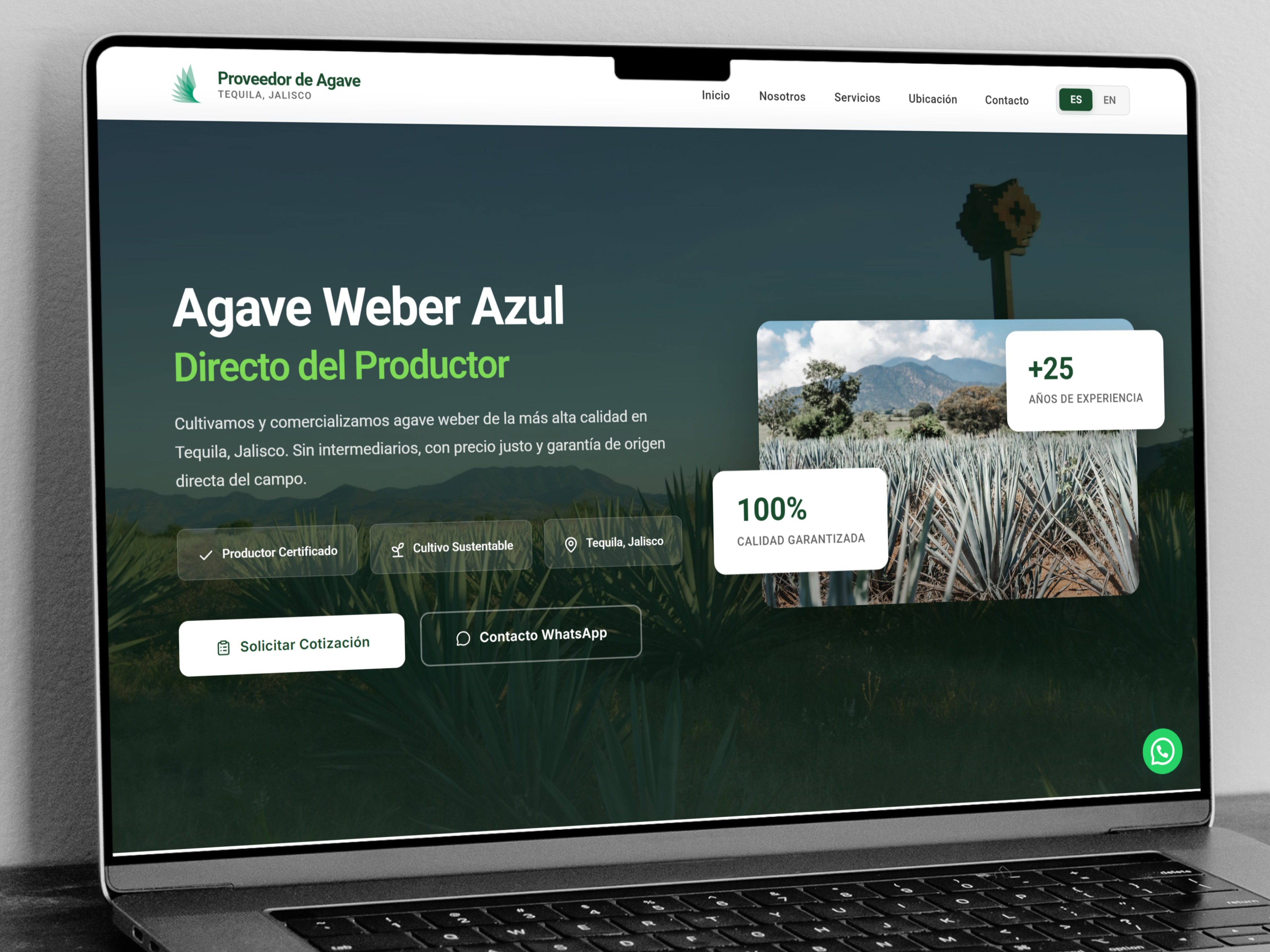 Desarrollo aplicación web